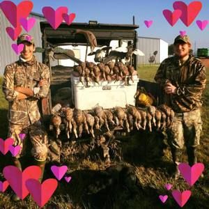 Meet your Posher, Bryce